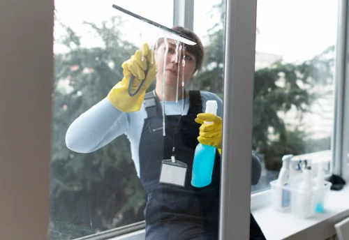 Nettoyage de vitres intérieures et extérieures à Saint-Priest-de-Gimel